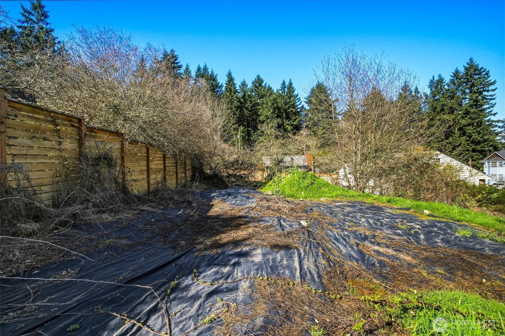 9017 3rd Avenue SW Seattle WA 98106