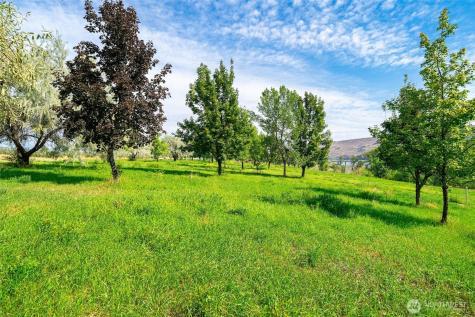 306 Monse River Road Brewster WA 98812