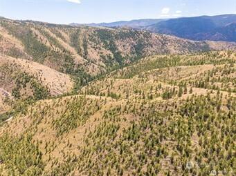 2 Lot Mud Creek Road Entiat WA 98822
