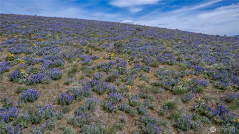 0 Burch Mountain Road Wenatchee WA 98801