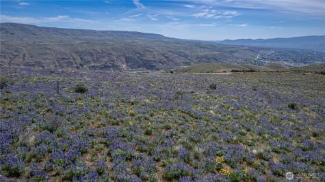 0 Burch Mountain Road Wenatchee WA 98801