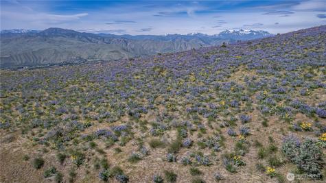 0 Burch Mountain Road Wenatchee WA 98801