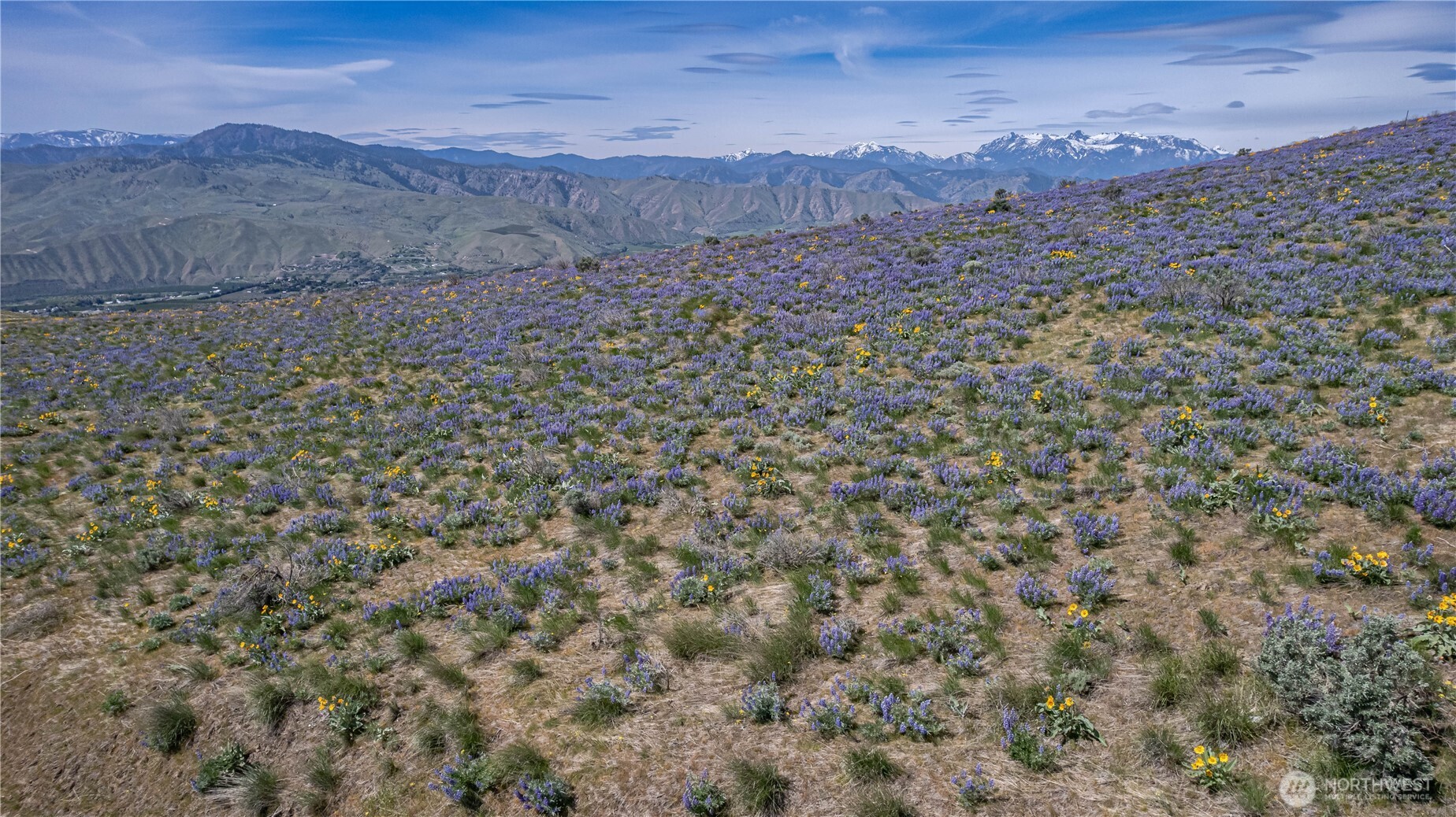 0 Burch Mountain Road Wenatchee WA 98801