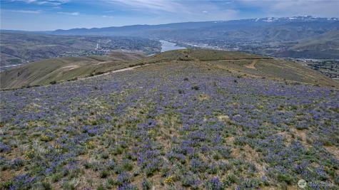 0 Burch Mountain Road Wenatchee WA 98801