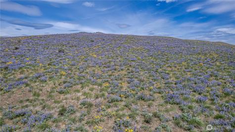 0 Burch Mountain Road Wenatchee WA 98801