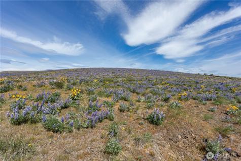 0 Burch Mountain Road Wenatchee WA 98801