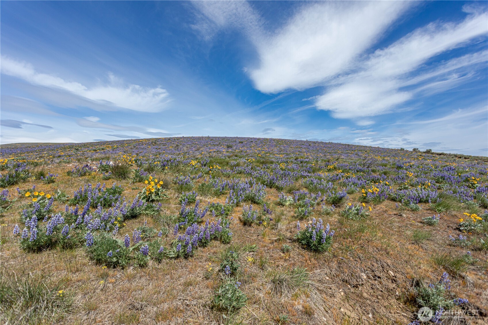 0 Burch Mountain Road Wenatchee WA 98801