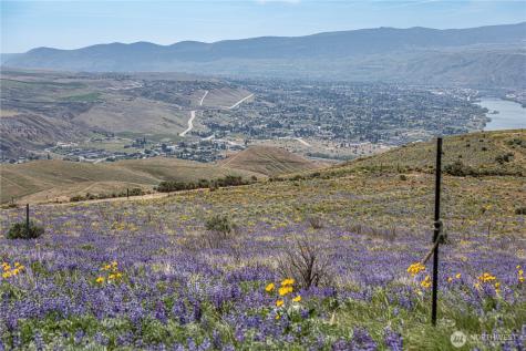0 Burch Mountain Road Wenatchee WA 98801