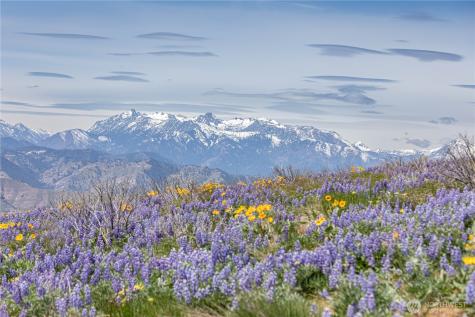 0 Burch Mountain Road Wenatchee WA 98801