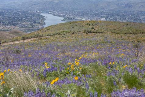 0 Burch Mountain Road Wenatchee WA 98801