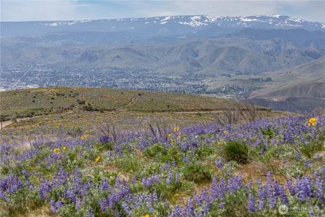0 Burch Mountain Road Wenatchee WA 98801