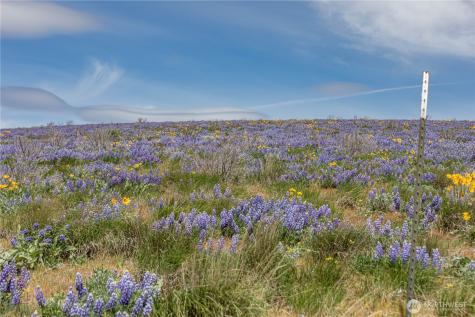 0 Burch Mountain Road Wenatchee WA 98801