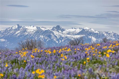 0 Burch Mountain Road Wenatchee WA 98801