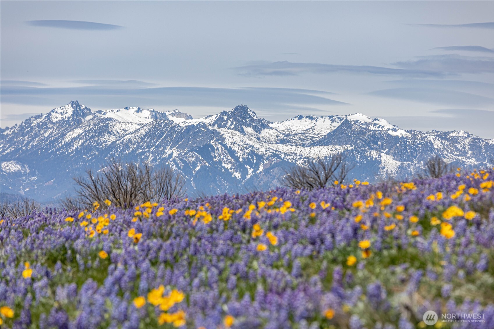 0 Burch Mountain Road Wenatchee WA 98801