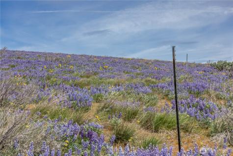 0 Burch Mountain Road Wenatchee WA 98801