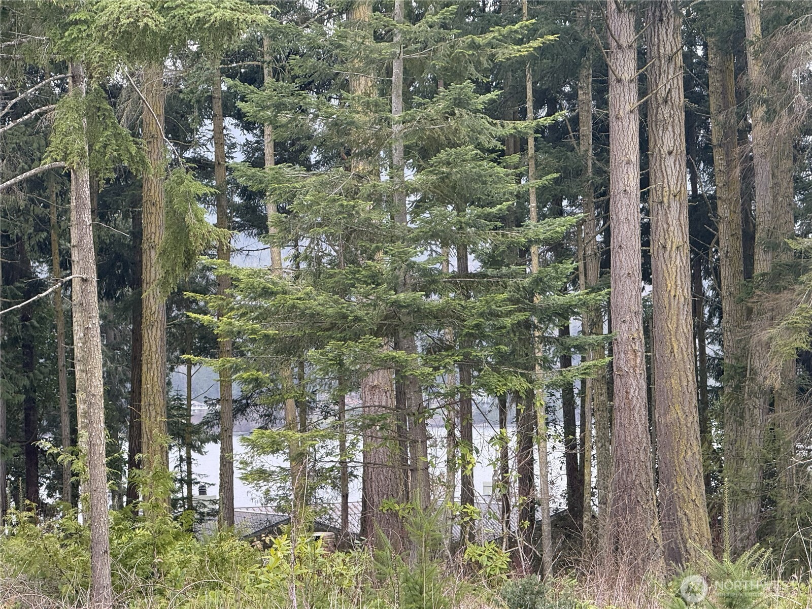 1422 E Sequim Bay Road Sequim WA 98382