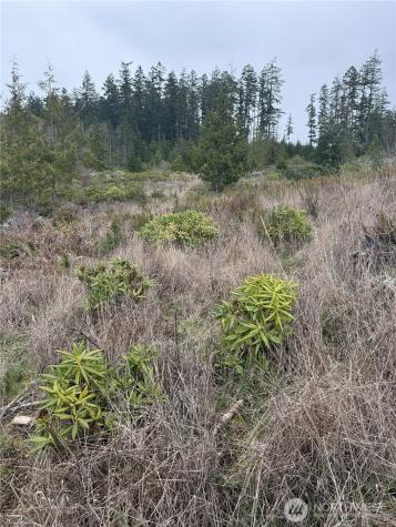 1422 E Sequim Bay Road Sequim WA 98382