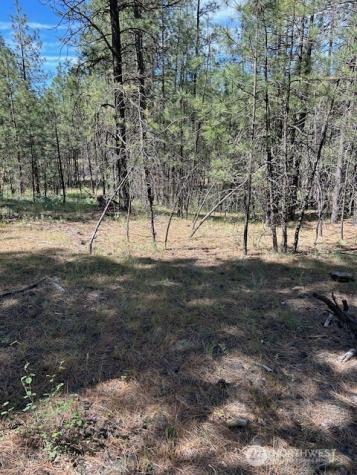 0 Rocky Ridge Road Davenport WA 99169