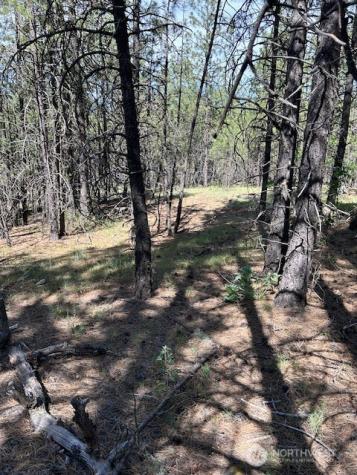 0 Rocky Ridge Road Davenport WA 99169