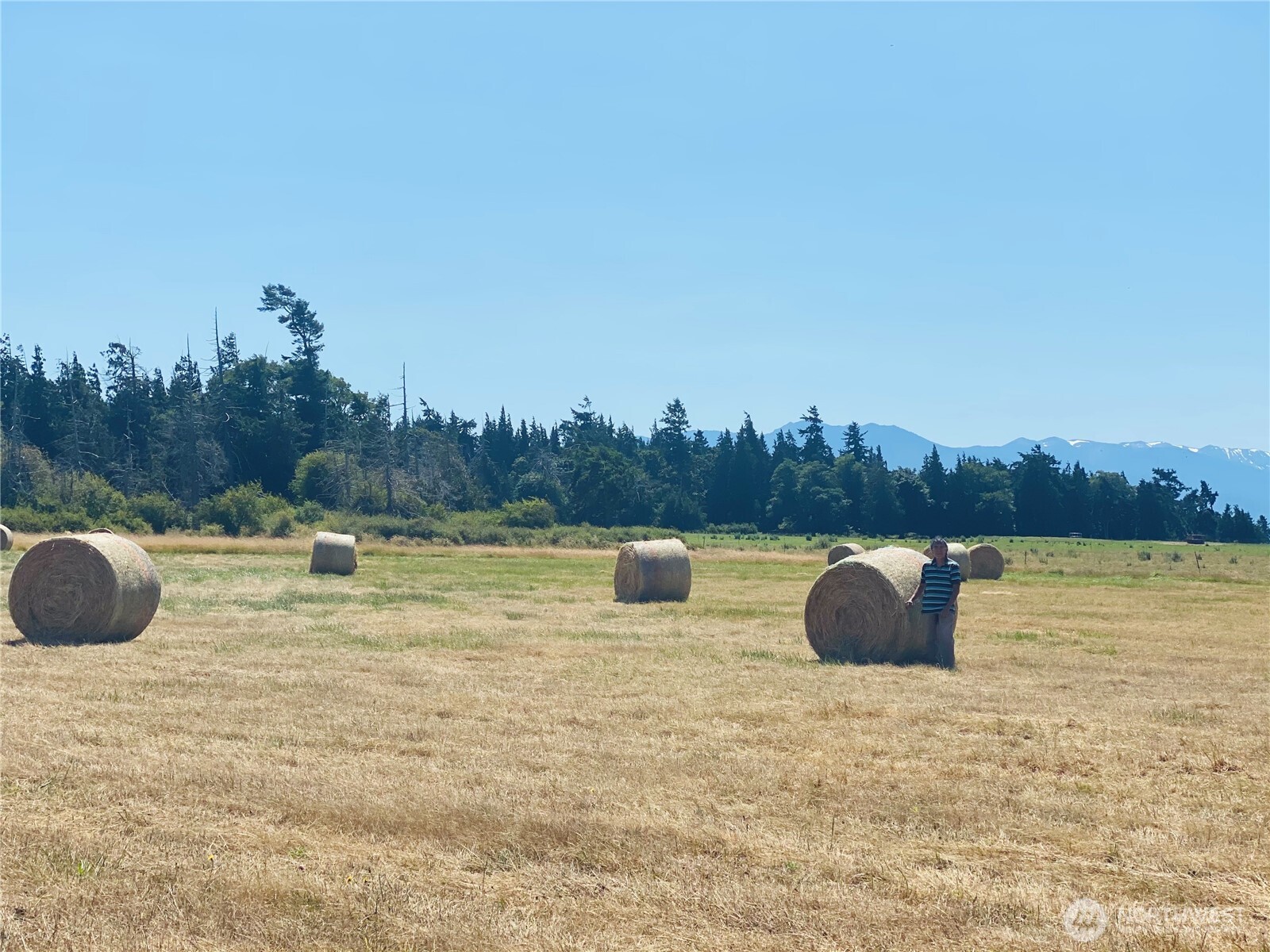 982 E Anderson Road Sequim WA 98382