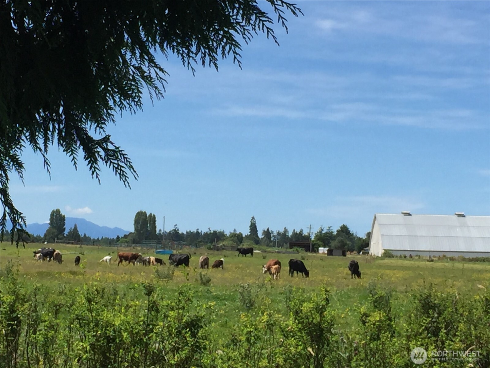982 E Anderson Road Sequim WA 98382