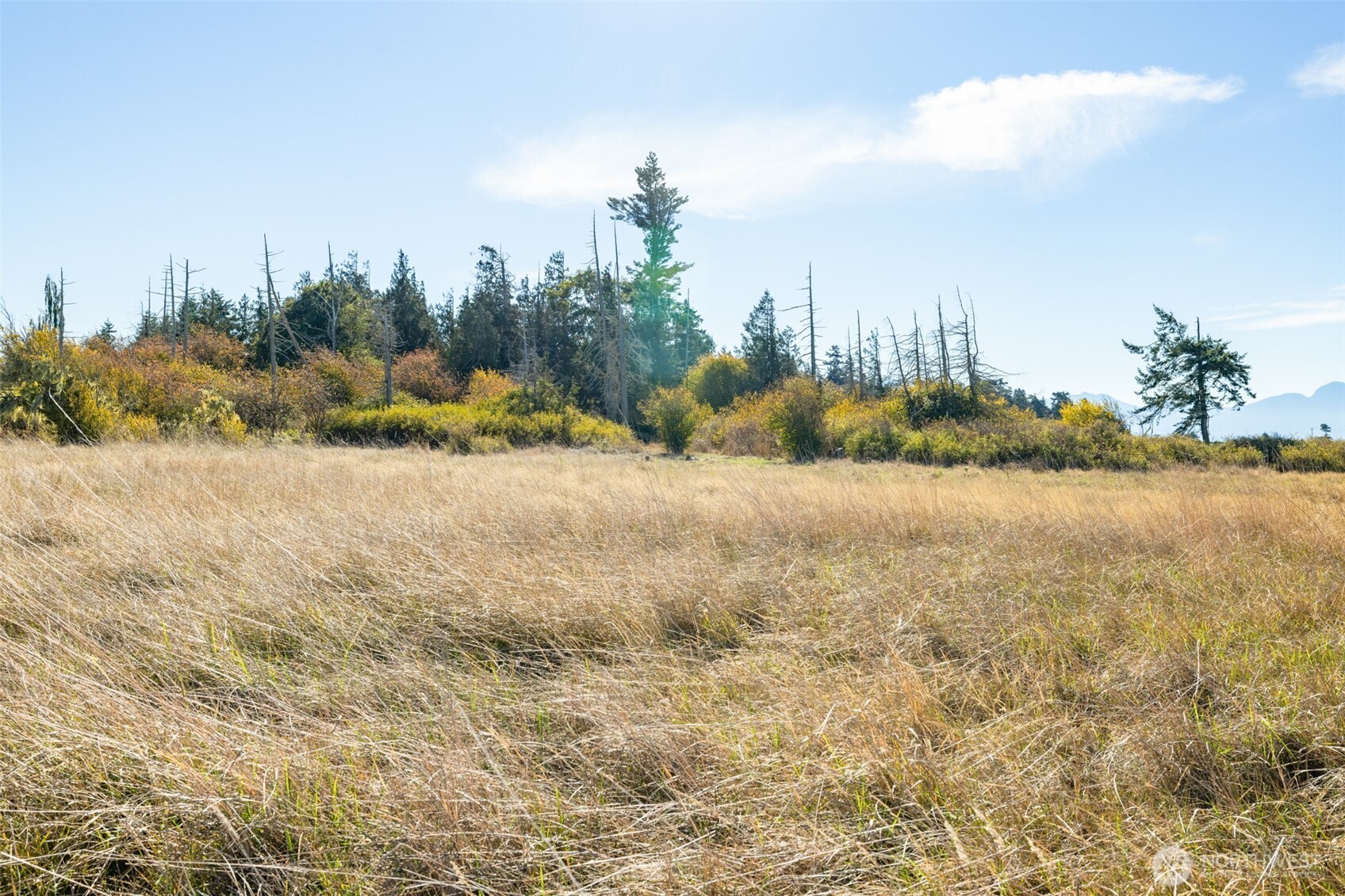 982 E Anderson Road Sequim WA 98382
