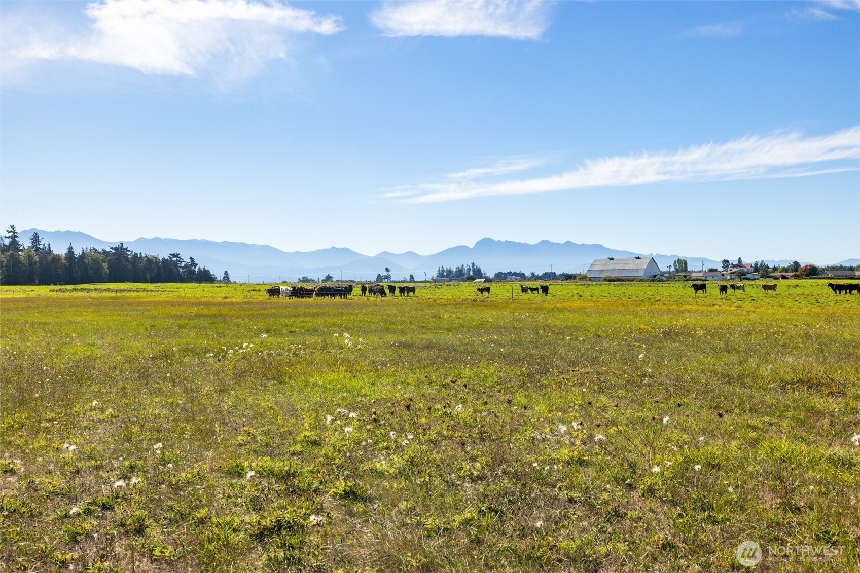 982 E Anderson Road Sequim WA 98382
