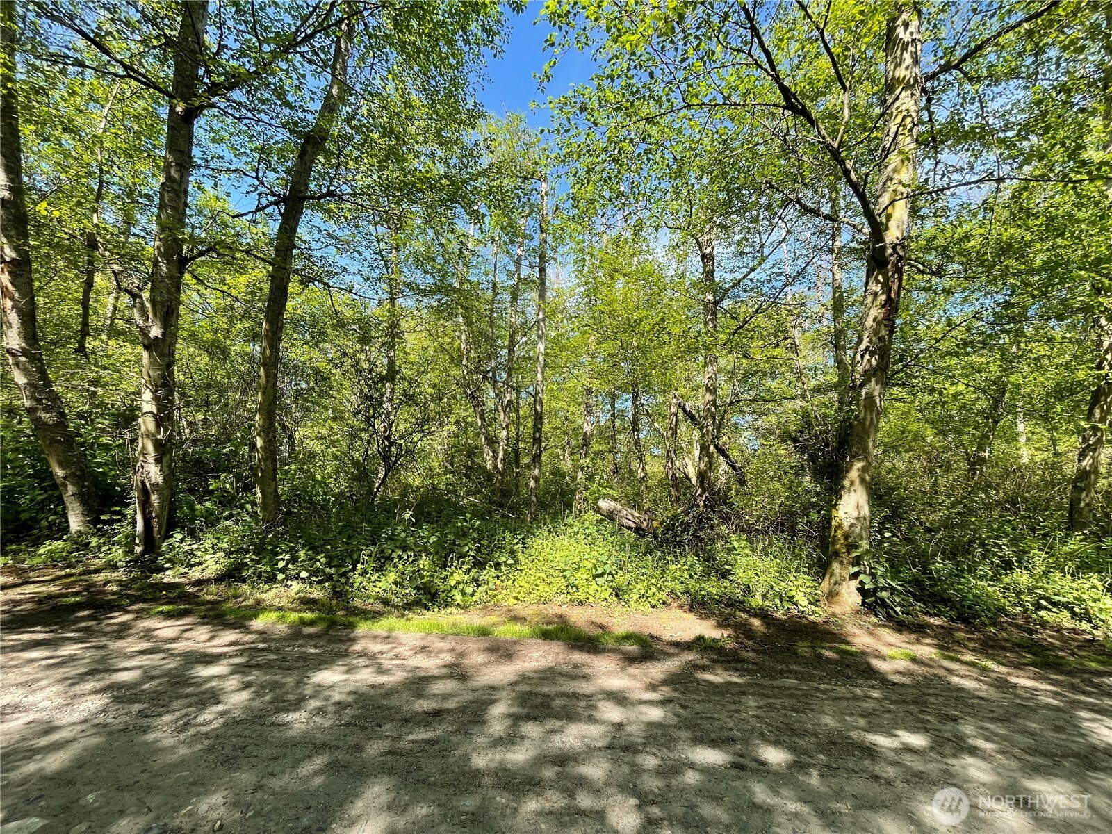 89 Tulalip Way Hat Island WA 98206