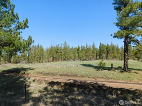 627 Pine Creek Road Bickleton WA 99356