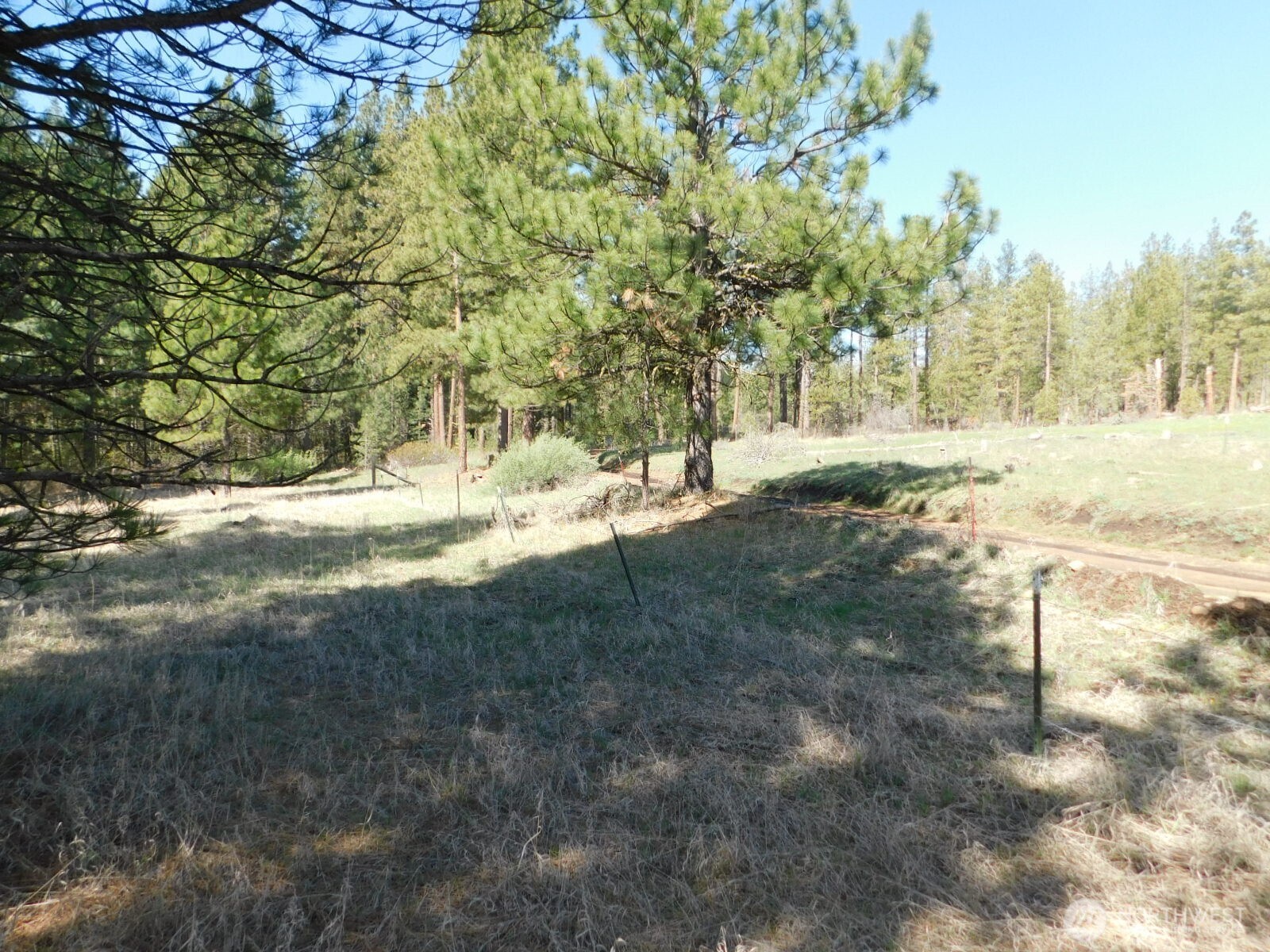 627 Pine Creek Road Bickleton WA 99356