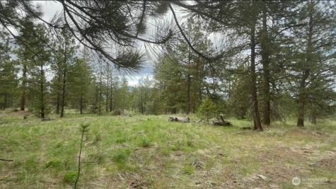 0 Fs 3010 Road Tonasket WA 98855