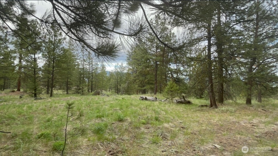 0 Fs 3010 Road Tonasket WA 98855