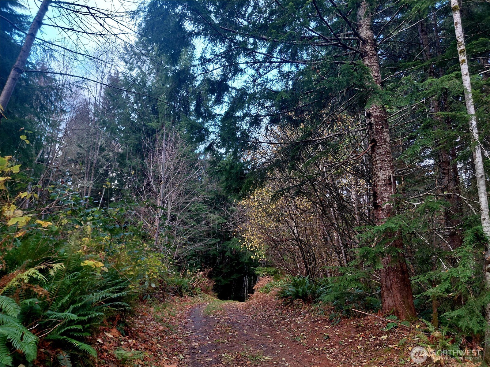 0 Old Barn Road Randle WA 98377