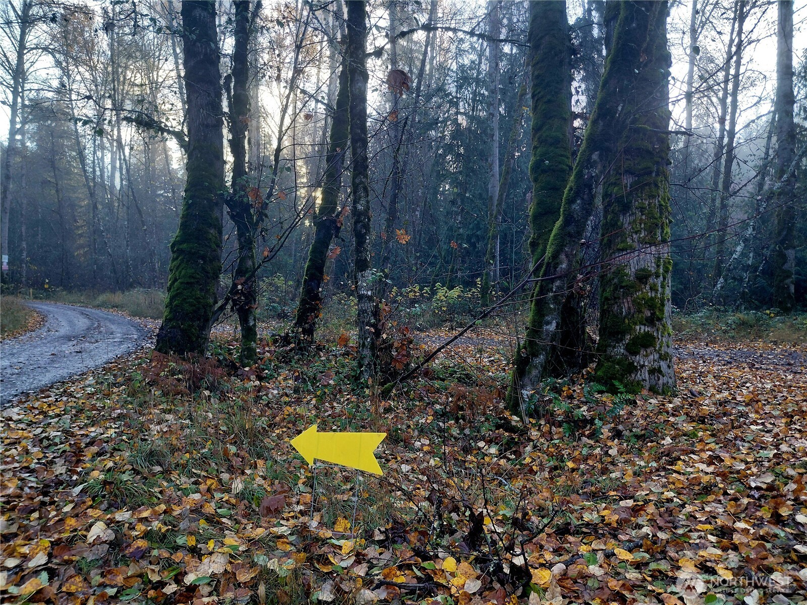 0 Old Barn Road Randle WA 98377