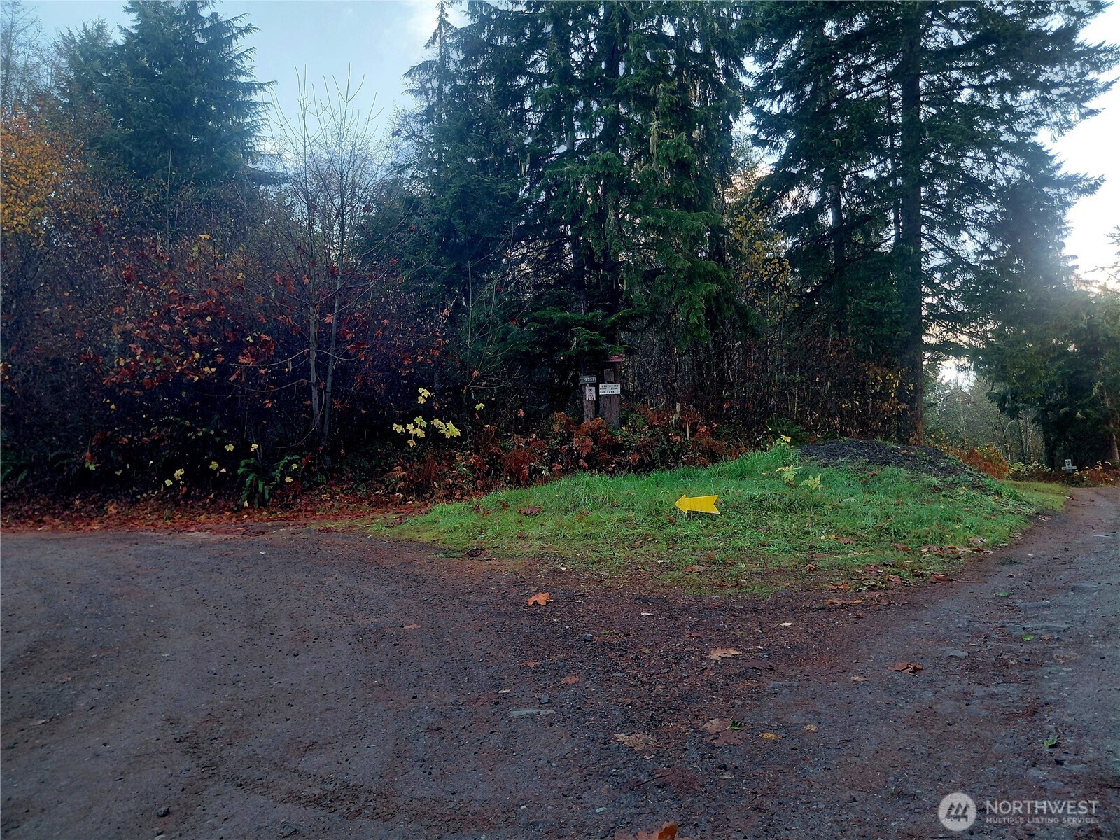 0 Old Barn Road Randle WA 98377