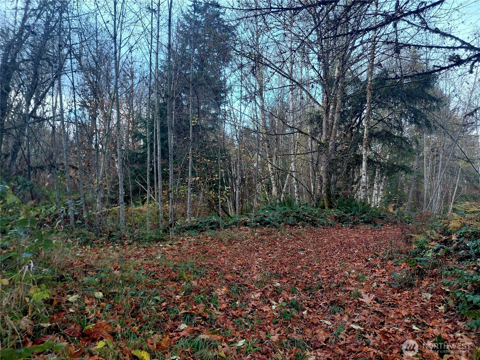 0 Old Barn Road Randle WA 98377