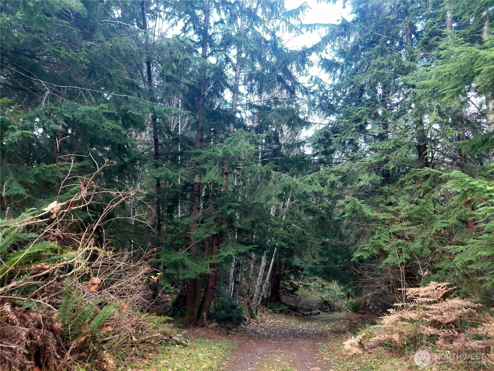 0 Old Barn Road Randle WA 98377