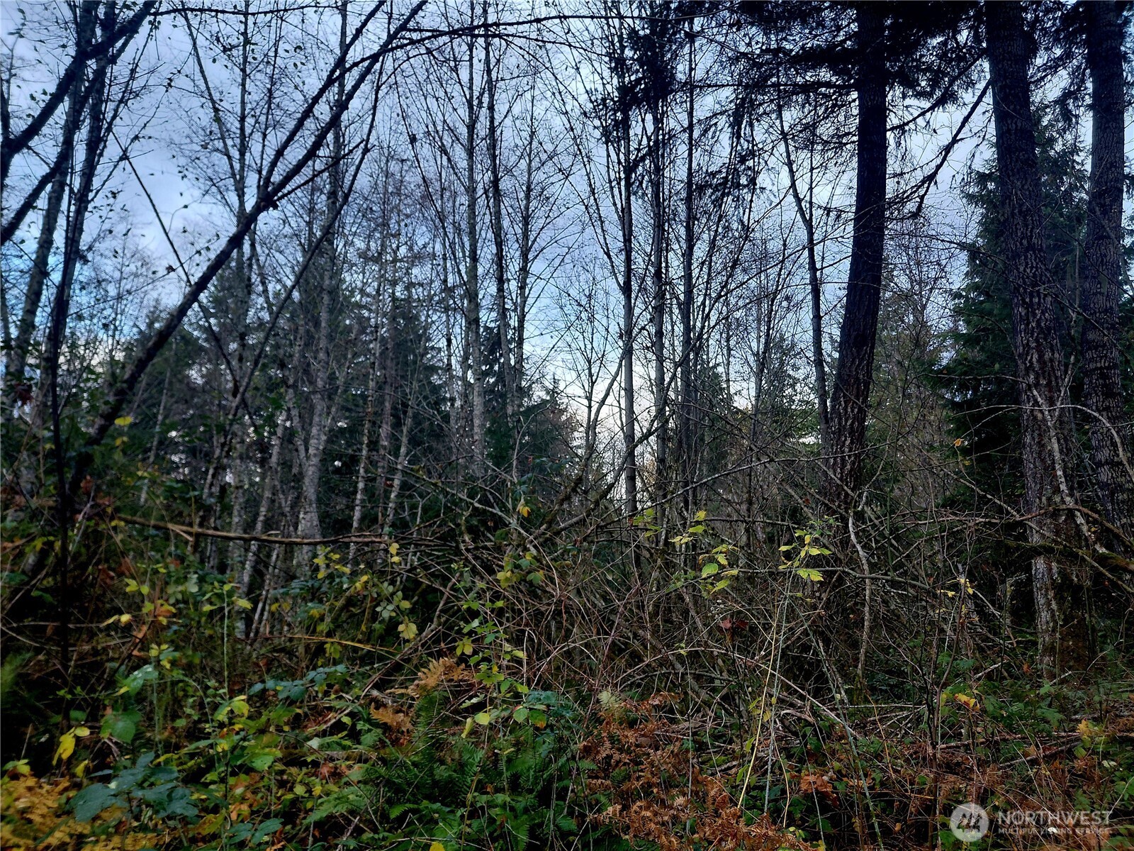 0 Old Barn Road Randle WA 98377