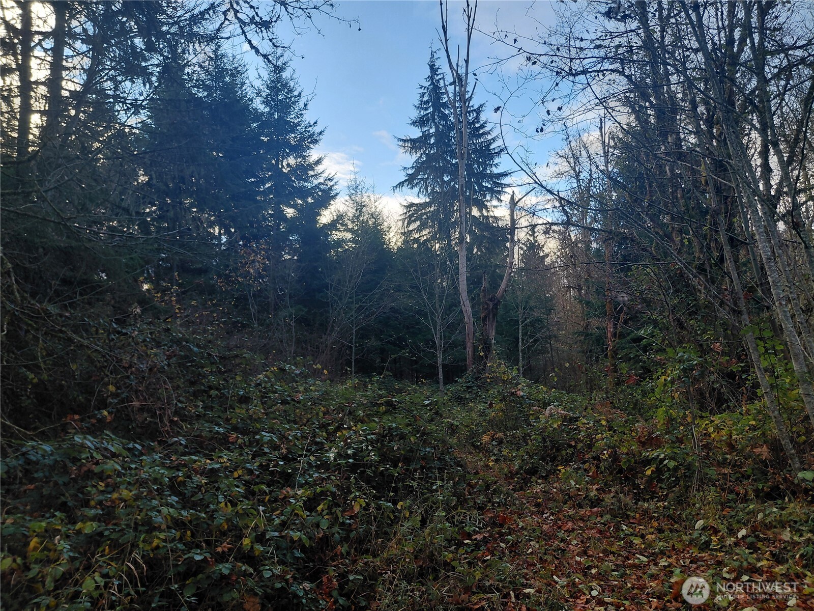 0 Old Barn Road Randle WA 98377