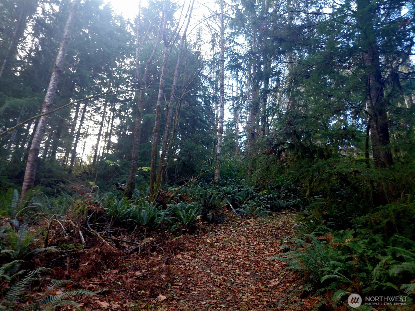 0 Old Barn Road Randle WA 98377
