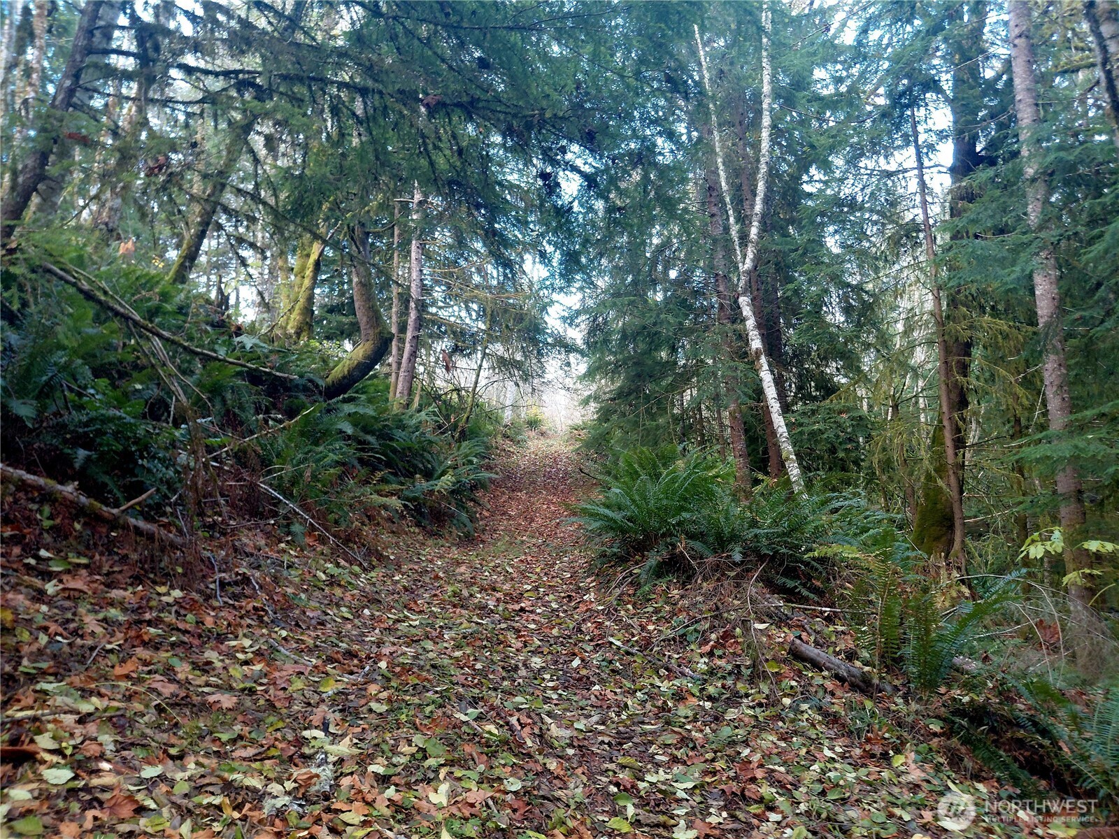 0 Old Barn Road Randle WA 98377