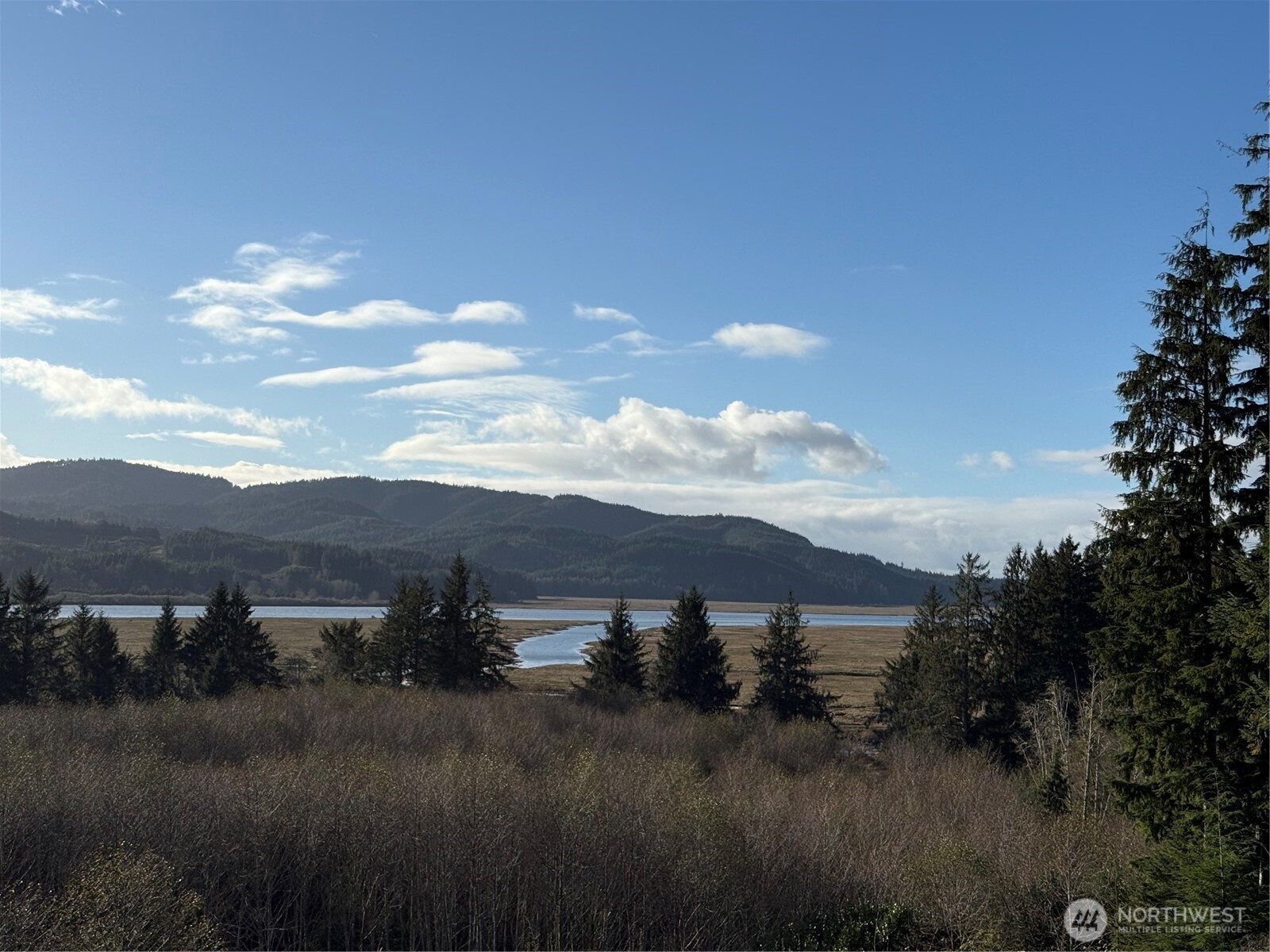 70 Dionne Lane Naselle WA 98638