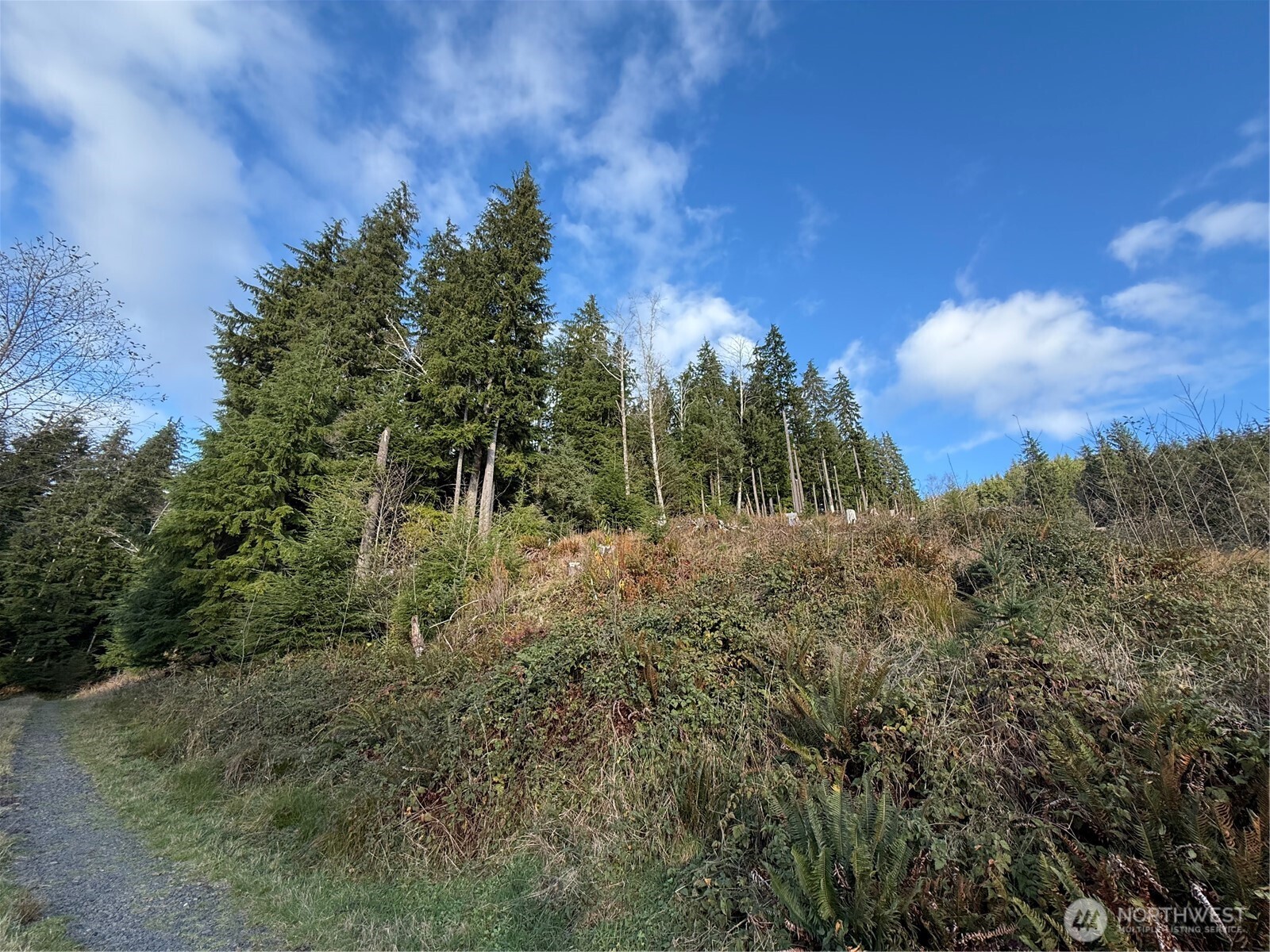 70 Dionne Lane Naselle WA 98638