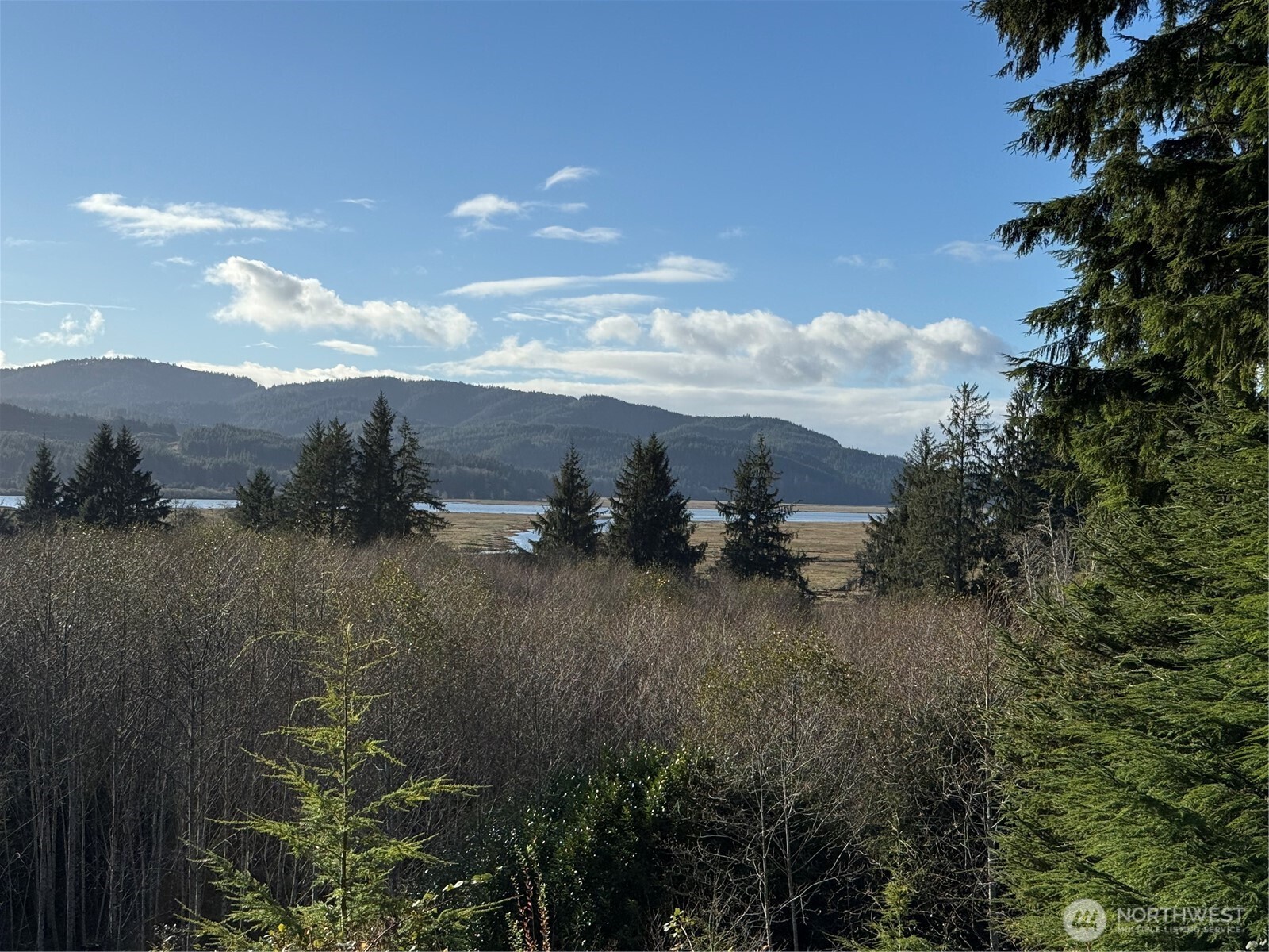 70 Dionne Lane Naselle WA 98638
