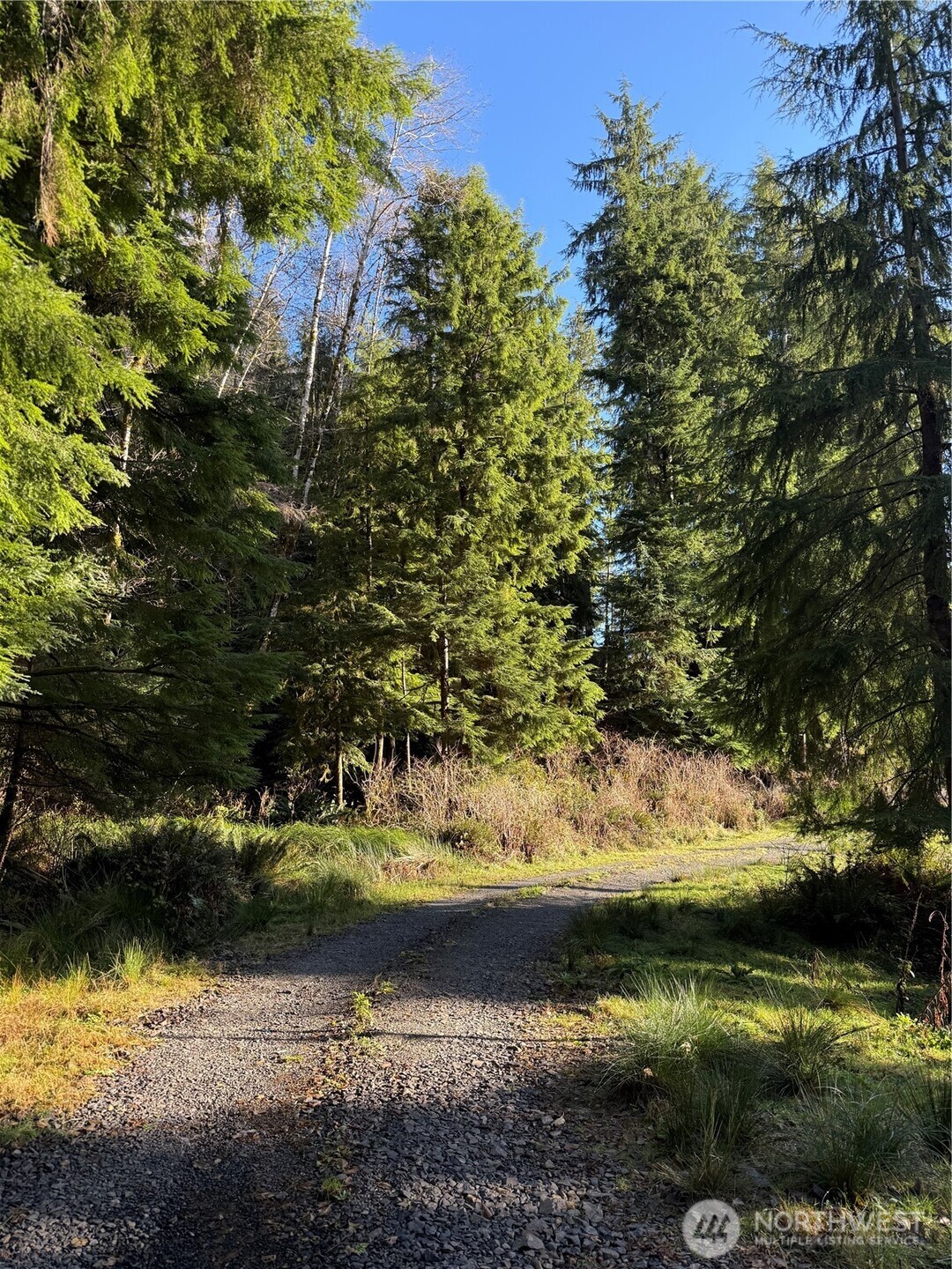 70 Dionne Lane Naselle WA 98638