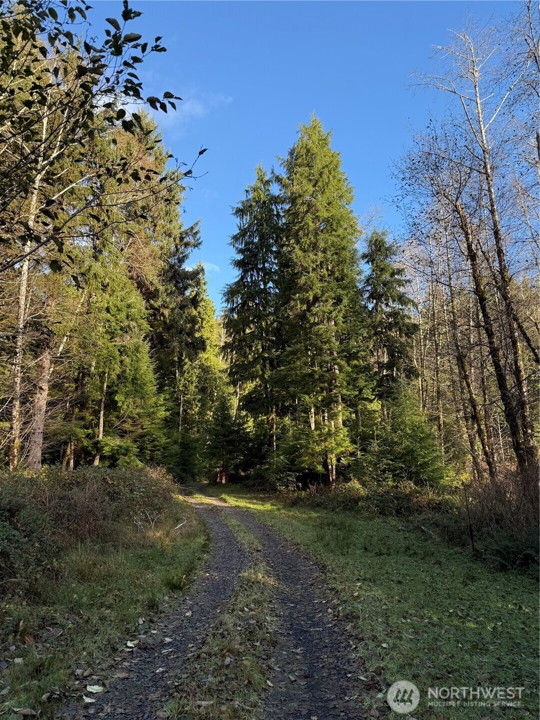 70 Dionne Lane Naselle WA 98638