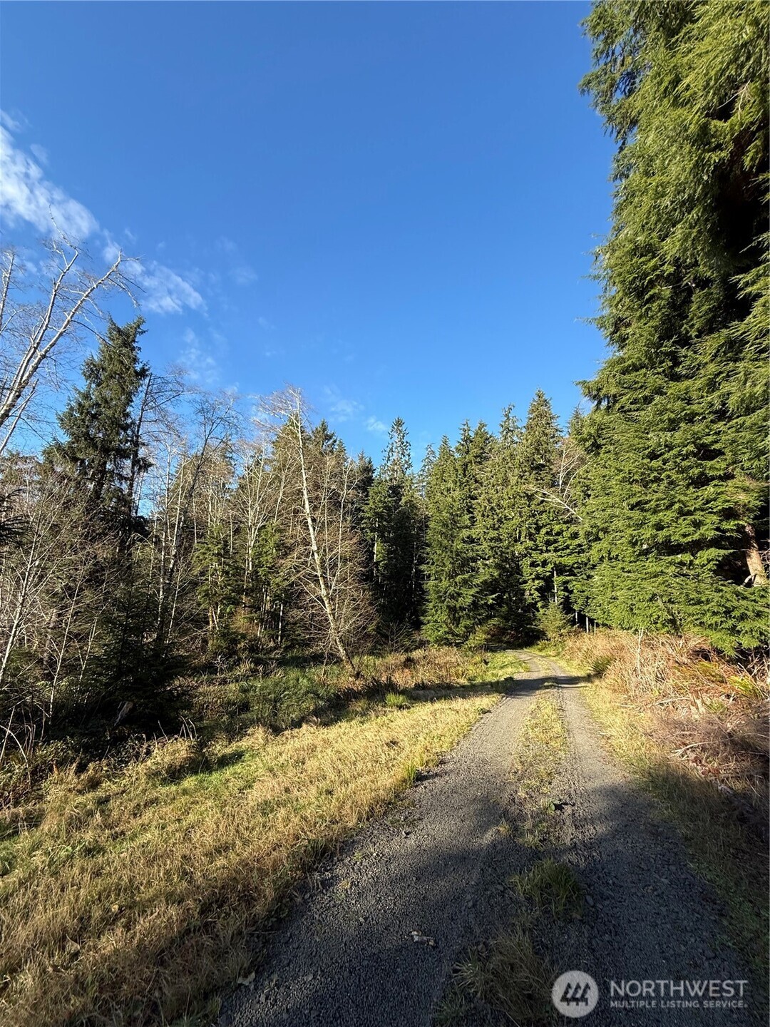 70 Dionne Lane Naselle WA 98638