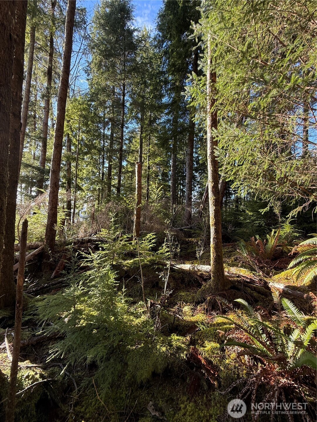 70 Dionne Lane Naselle WA 98638