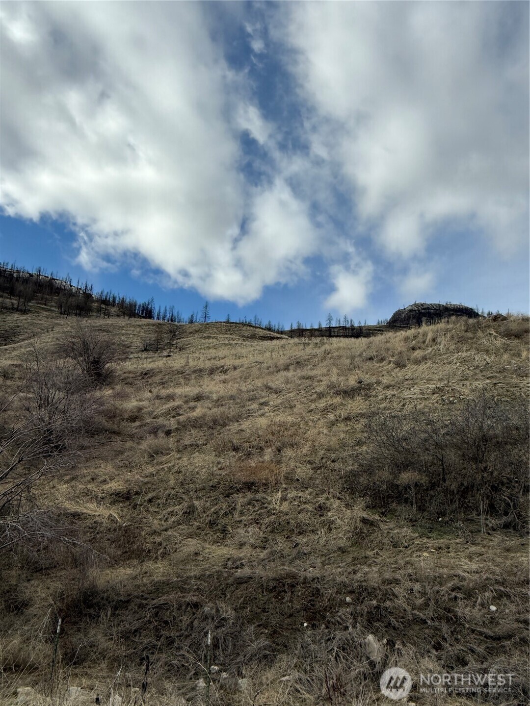 28 Eagles Bluff Road Oroville WA 98844