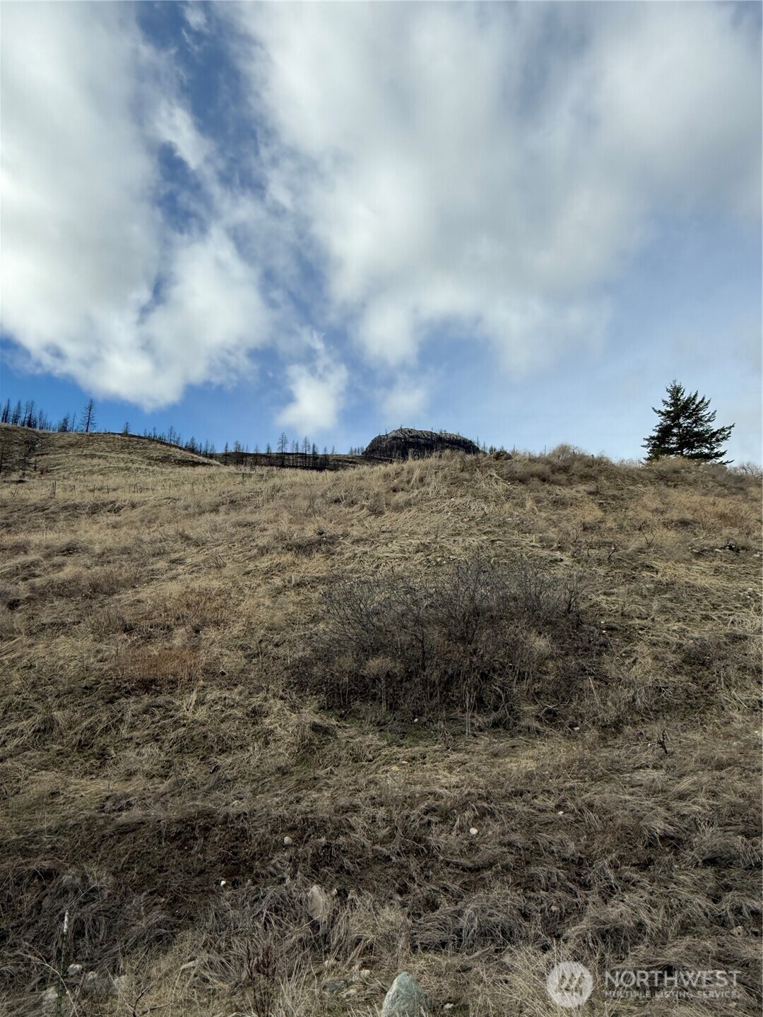 28 Eagles Bluff Road Oroville WA 98844